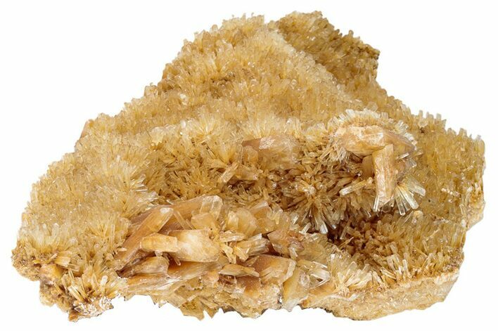 Butterscotch Selenite Crystals - Mt Gunson, Australia #239497